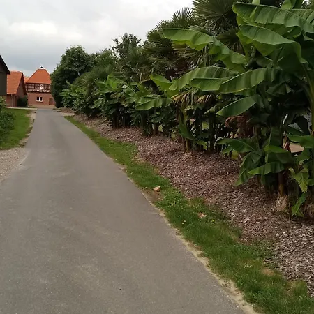 Schwalbennest דירה *