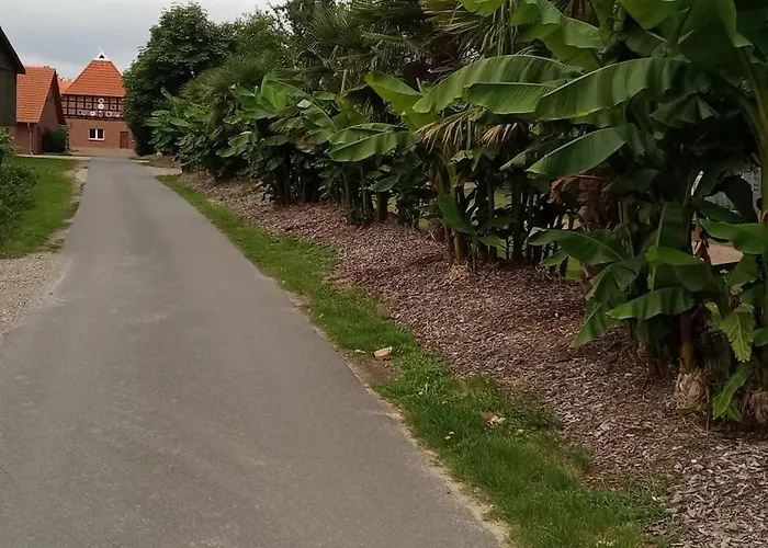 Schwalbennest Apartment *